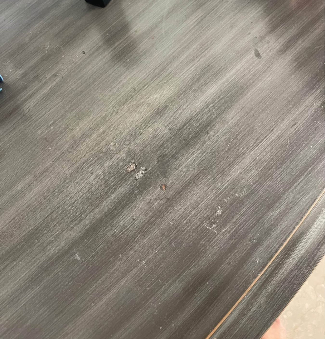 Galerie de publications